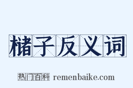 槠子反义词是什么意思的图片